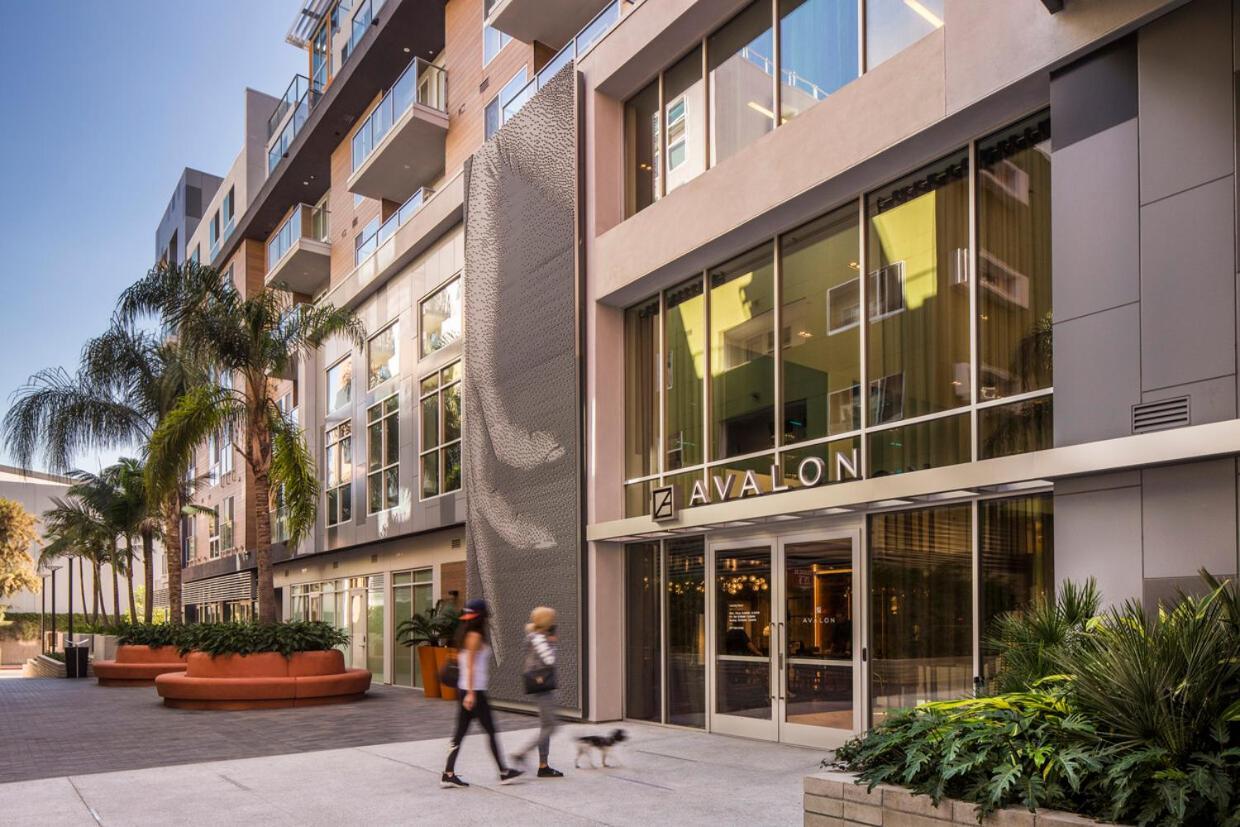 The Hills Management Los Angeles